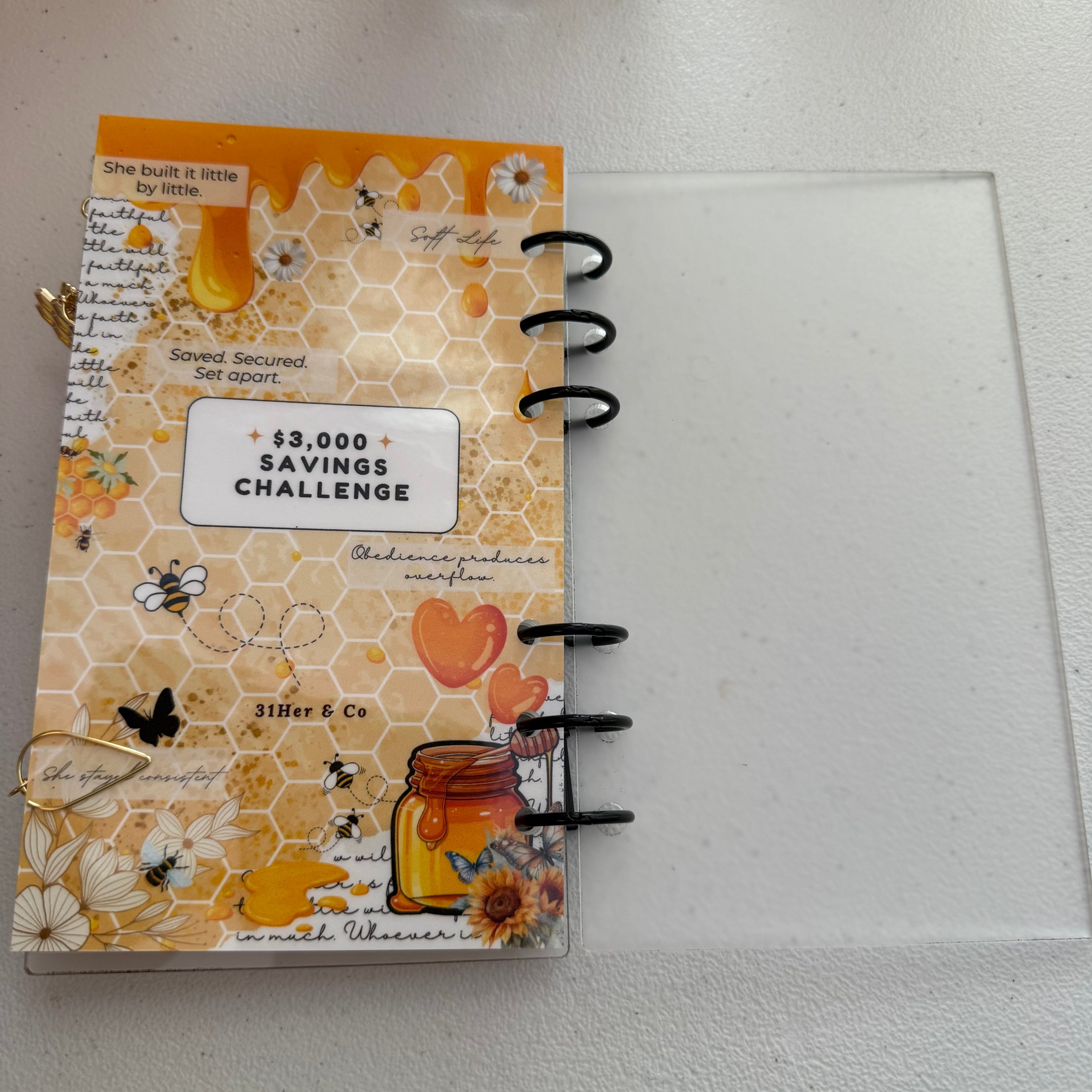 “Bee Faithful In The Little” $3,000 Savings Challenge | A6 Size